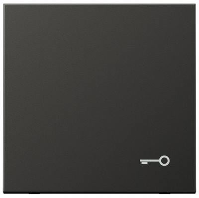 Клавиша с символом "замок"; антрацит Jung Антрацит Jung LS серия AL2990TAN