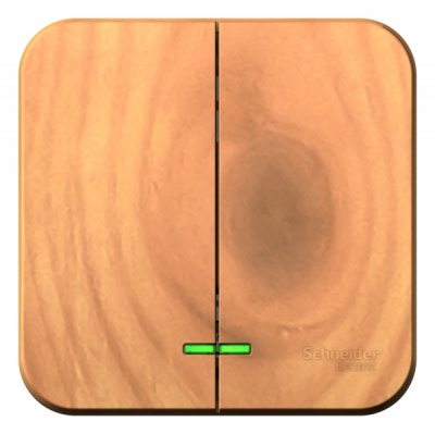 Выключатель 2-клавишный накладного монтажа с подсветкой 10A 250B Systeme Electric Blanca Ясень Systeme Electric Blanca BLNVA105105