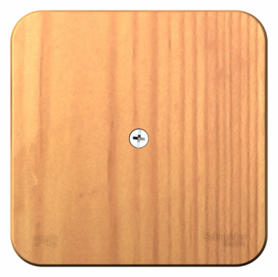 Коробка распределительная накладного монтажа IP42 Systeme Electric Blanca Ясень Systeme Electric Blanca BLNRK000015