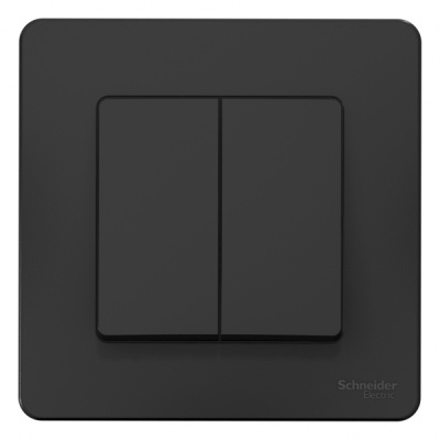Выключатель 2-клавишный скрытой установки 10A 250B Systeme Electric Blanca Антрацит Systeme Electric Blanca BLNVS010506