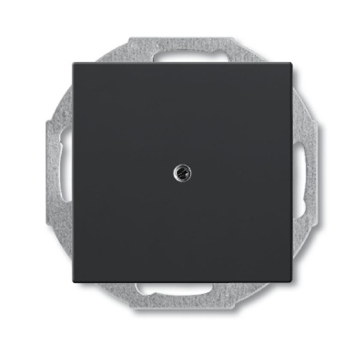 Заглушка с суппортом ABB BJB Basic55 château Черный ABB Basic 55 2CKA001715A0315
