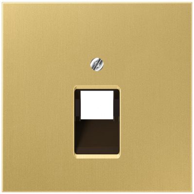 Накладка 1-ой наклонной телефонной/комп розетки Jung Латунь Classic Jung LS серия ME2969-1UAC