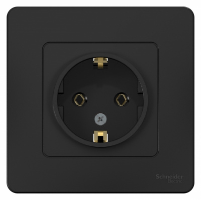Розетка с заземлением без шторок скрытой установки 16A 250В Systeme Electric Blanca Антрацит Systeme Electric Blanca BLNRS001016
