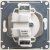 GSL000641_1.jpg