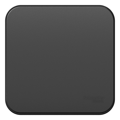 Выключатель 1-клавишный накладного монтажа (cхема 1) с самовозвратом с изолирующей пластиной 10A Systeme Electric Blanca Антрацит Systeme Electric Blanca BLNCA101016