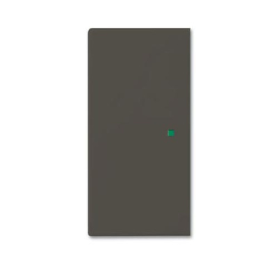 SR-2-95 Клавиша двойная free@home, Basic 55, цвет château-black ABB ABB  2CKA006220A0691