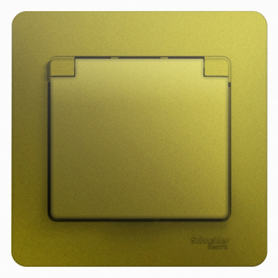 Розетка с заземлением со шторками с крышкой IP20 16A 250В в сборе Systeme Electric Glossa Фисташковый Systeme Electric Glossa GSL001046