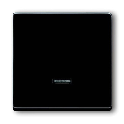 Клавиша для светорегулятора 6550 U-10x 6560 U-101 6593 U реле 6401 U-10x 6402 U ABB Solo/Future Антрацит ABB Solo/Future 2CKA006599A2881