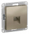 ATN000583_1.jpg