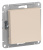 ATN000215_1.jpg