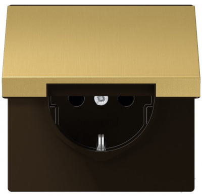 Механизм Розетка с заземлением с крышкой безвинт.зажим Jung Латунь Classic Jung Jung Механизмы ME1520KLC