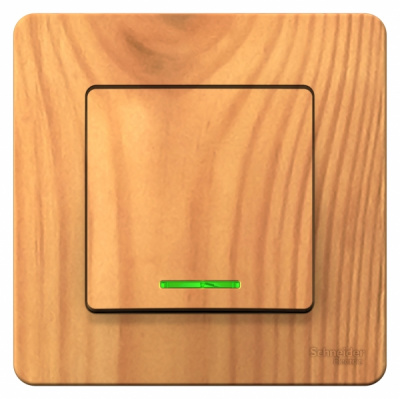 Выключатель 1-клавишный скрытой установки (cхема 1) с подсветкой 10A 250B Systeme Electric Blanca Ясень Systeme Electric Blanca BLNVS010115