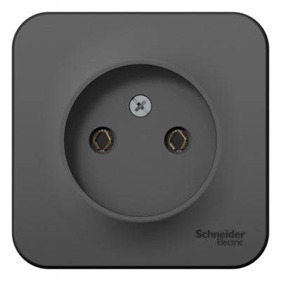 Розетка без заземления без шторок накладного монтажа 16A 250В Systeme Electric Blanca Антрацит Systeme Electric Blanca BLNRA000106