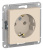 ATN000243_1.jpg