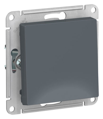 SE AtlasDesign Выключатель 1-клавишный 2-полюсный Грифель 10А мех Systeme Electric AtlasDesign ATN000721
