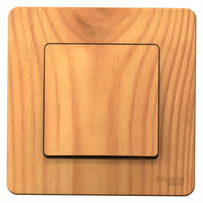 Выключатель 1-клавишный скрытой установки (cхема 1) 10A 250B Systeme Electric Blanca Ясень Systeme Electric Blanca BLNVS010105