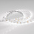 Лента RT 2-5000 12В SMD 3528 60LED/м 4,8Вт/м Arlight LUX Холодный свет Arlight LUX 010522Arlight