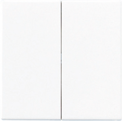 Клавиша 2-ая Jung Белый Jung A серия A595WW