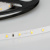 020012Arlight_2.jpg