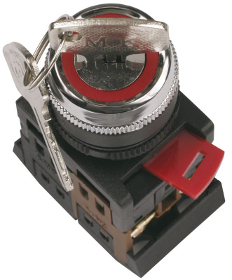 Переключатель АKS-22 черный с ключ. 2 полож. I-O 1з+1P IEK IEK  BSW10-AKS-2-K02