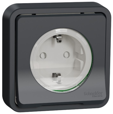 Розетка с заземлением и шторками скрытой установки IP55 Schneider Electric Mureva Styl Антрацит Schneider Electric Mureva Styl MUR36132