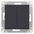 Переключатель 2-клавишный сх.6 10AX механизм Schneider Electric AtlasDesign Карбон Systeme Electric AtlasDesign ATN001065